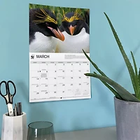 World Wildlife Fund Penguins 2027 Wall Calendar