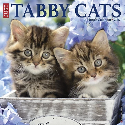 Tabby Cats 2027 Wall Calendar - Online Only