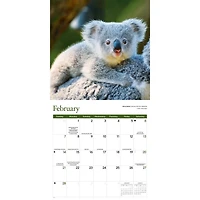 Baby Animals 2027 Wall Calendar