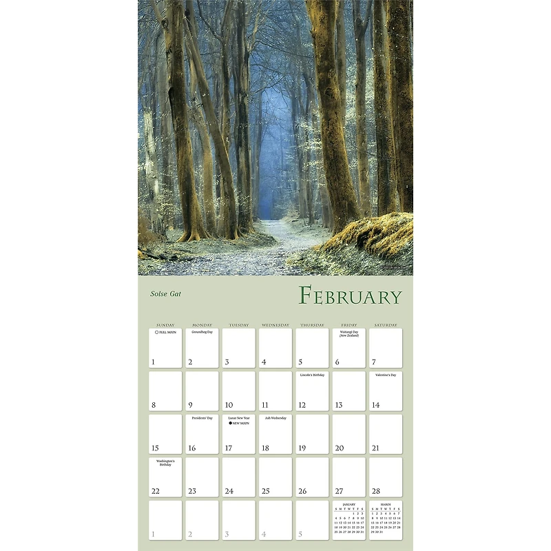 Enchanted Pathways 2026 Wall Calendar