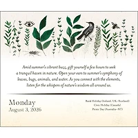 Year Of The Witch 2026 Box Calendar