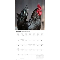 Chickens 2027 Wall Calendar