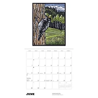 Molly Hashimoto Birds 2026 Wall Calendar