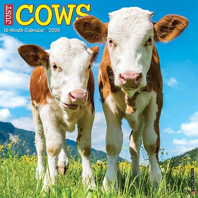 Just Cows 2026 Wall Calendar