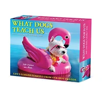 What Dogs Teach Us 2026 Box Calendar