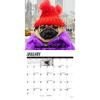 Doug the Pug 2027 Mini Calendar