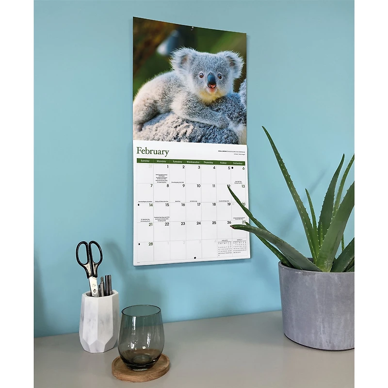 Baby Animals 2027 Wall Calendar