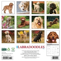 Just Labradoodles 2026 Wall Calendar