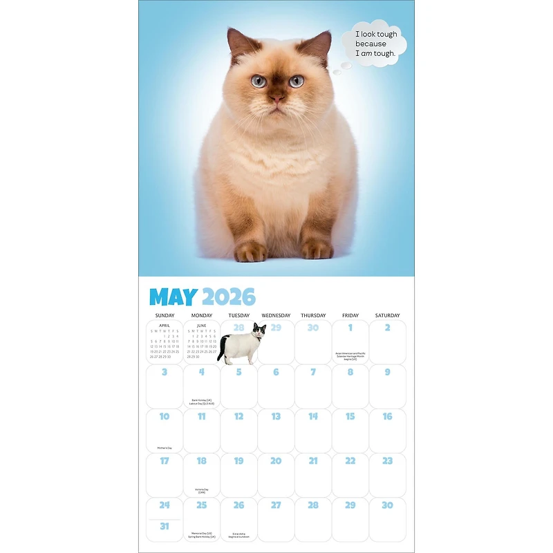 Chonkers 2026 Wall Calendar
