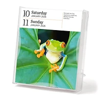 Audubon Nature Gallery 2026 Box Calendar