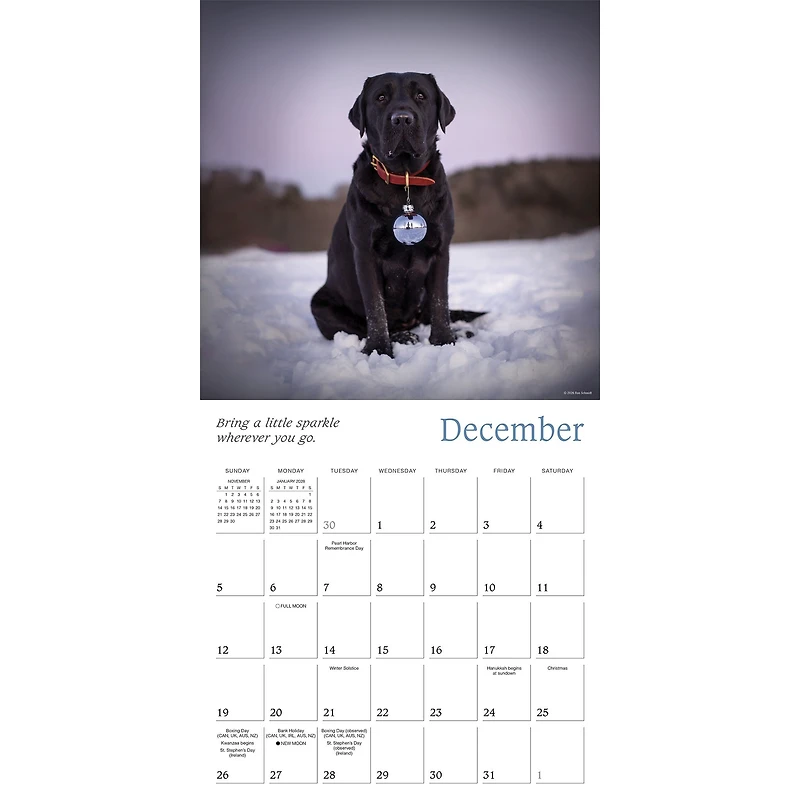 Dogma 2027 Wall Calendar