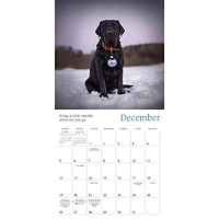 Dogma 2027 Wall Calendar