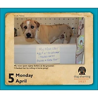 Dog Shaming 2027 Box Calendar