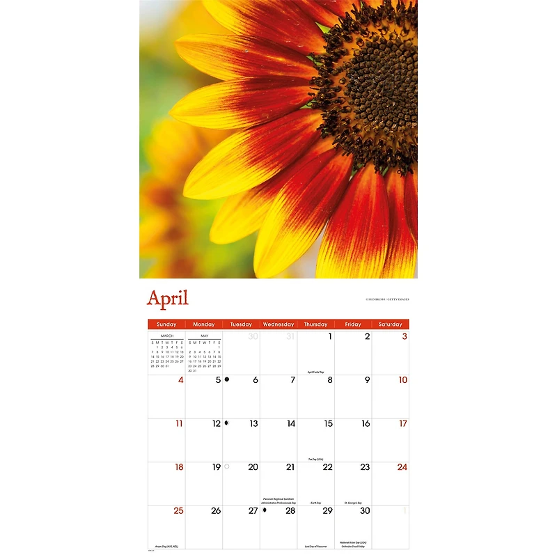 Sunflowers 2027 Wall Calendar