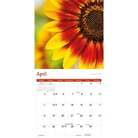 Sunflowers 2027 Wall Calendar
