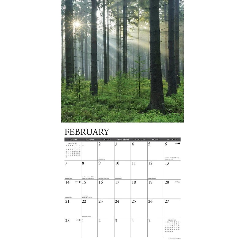 Heaven Has a Forest 2027 Wall Calendar - Online Only