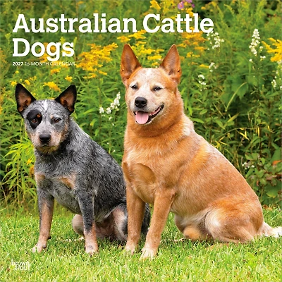 Australian Cattle Dogs 2027 Wall Calendar - Online Only