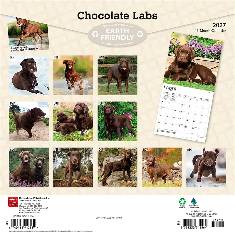Chocolate Labs 2027 Wall Calendar