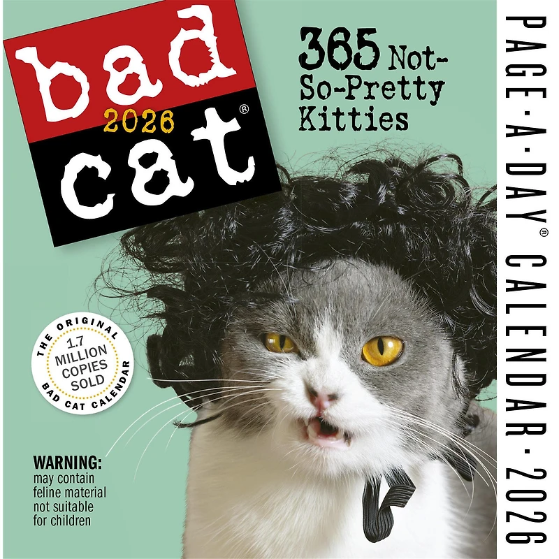 Bad Cat 2026 Box Calendar