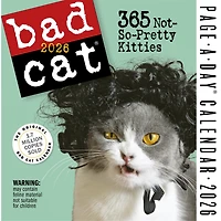 Bad Cat 2026 Box Calendar