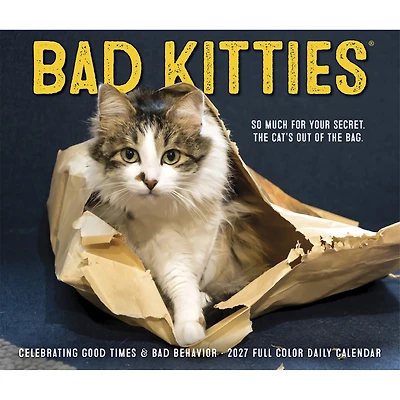 Bad Kitties 2027 Box Calendar - Online Only