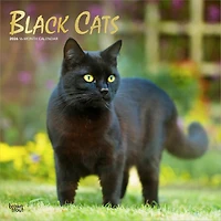 Black Cats 2026 Wall Calendar