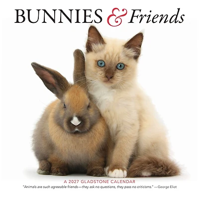 Bunnies and Friends 2027 Wall Calendar