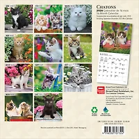 Chatons 2026 Mini Calendar (French)