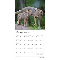 Les Loups 2026 Wall Calendar (French)