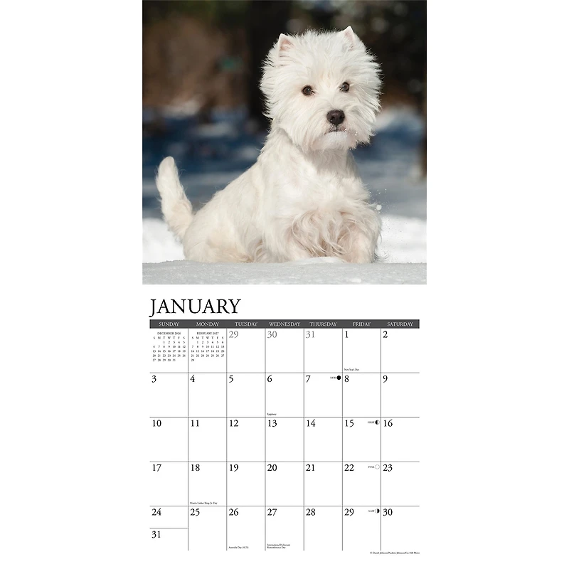 Westies 2027 Wall Calendar - Online Only