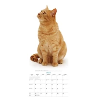 Cats 2027 Poster Calendar