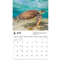 World Wildlife Fund Sea Turtles 2027 Wall Calendar