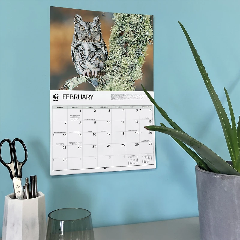 World Wildlife Fund Owls 2027 Wall Calendar