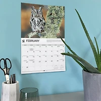 World Wildlife Fund Owls 2027 Wall Calendar