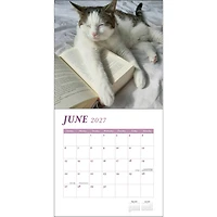 Cats and Books 2027 Wall Calendar