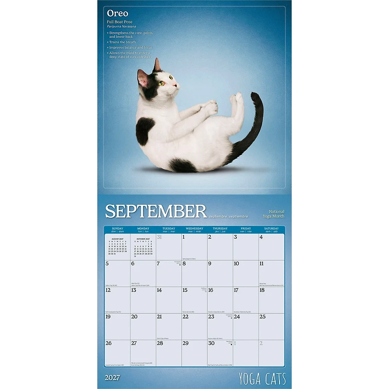 Yoga Cats 2027 Wall Calendar