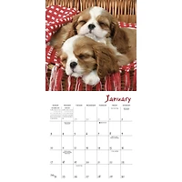 Pooped Puppies 2027 Mini Calendar