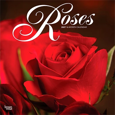 Roses 2027 Wall Calendar - Online Only