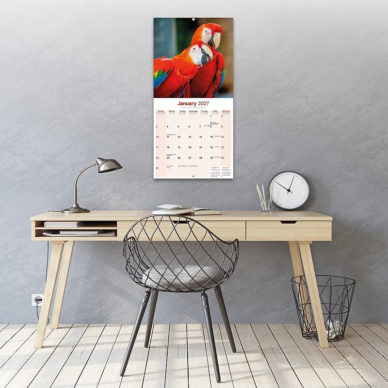 Macaws 2027 Wall Calendar