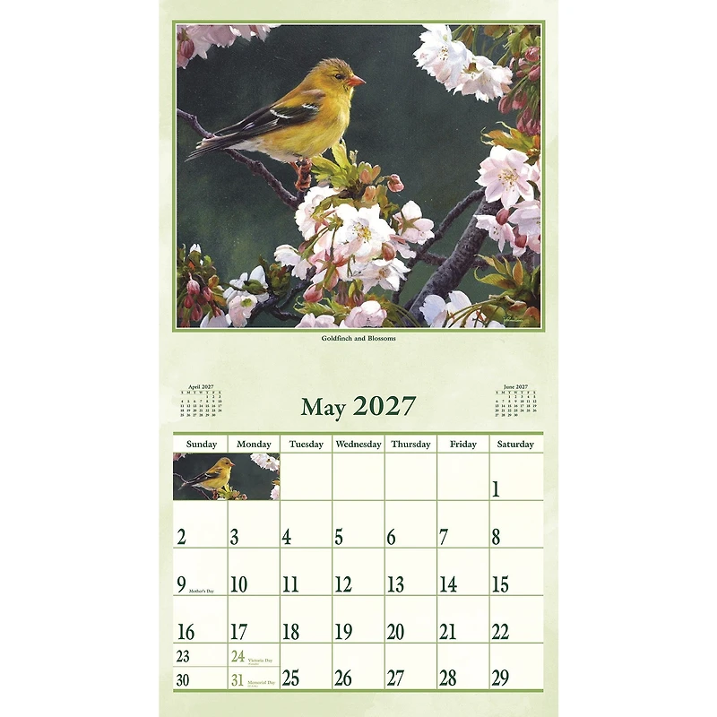 Wings Of Nature 2027 Wall Calendar - Online Only