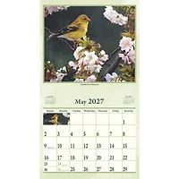 Wings Of Nature 2027 Wall Calendar - Online Only