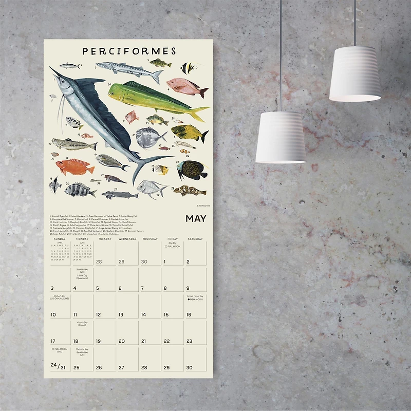 Illustrated Animal Kingdom 2026 Wall Calendar - Online Only