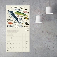 Illustrated Animal Kingdom 2026 Wall Calendar - Online Only