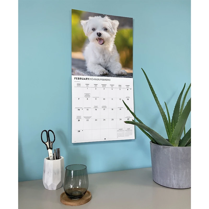 Maltese 2027 Wall Calendar