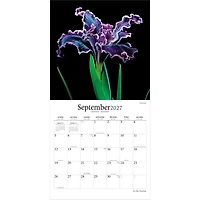 In the Garden 2027 Wall Calendar