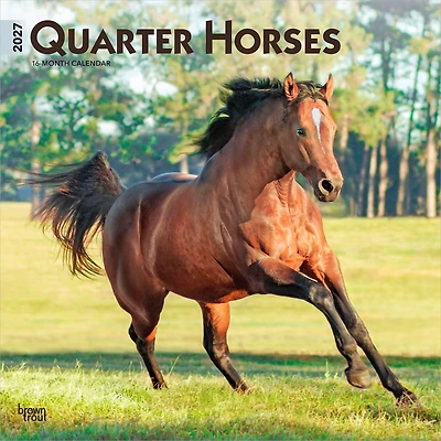 Quarter Horses 2027 Wall Calendar - Online Only
