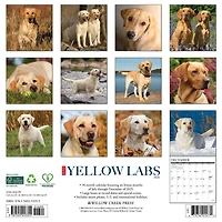 Just Yellow Labs 2026 Wall Calendar