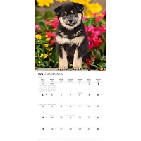 Shiba Inu 2027 Wall Calendar