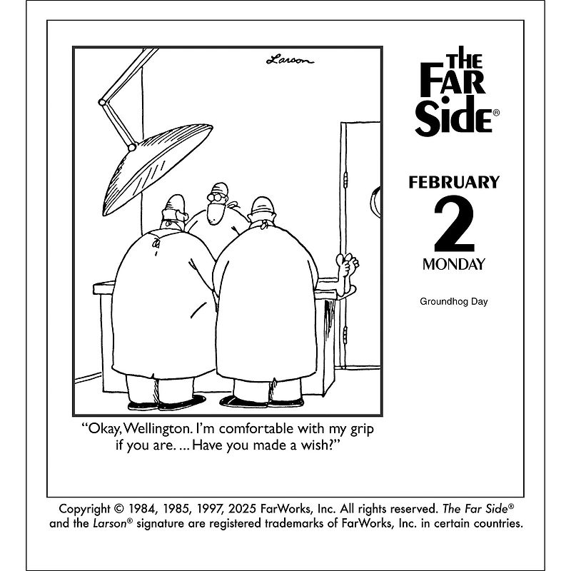 Far Side® Off-The-Wall 2026 Box Calendar