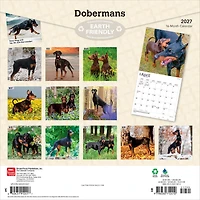 Dobermans 2027 Wall Calendar